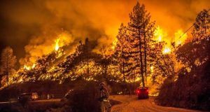 požari u kaliforniji