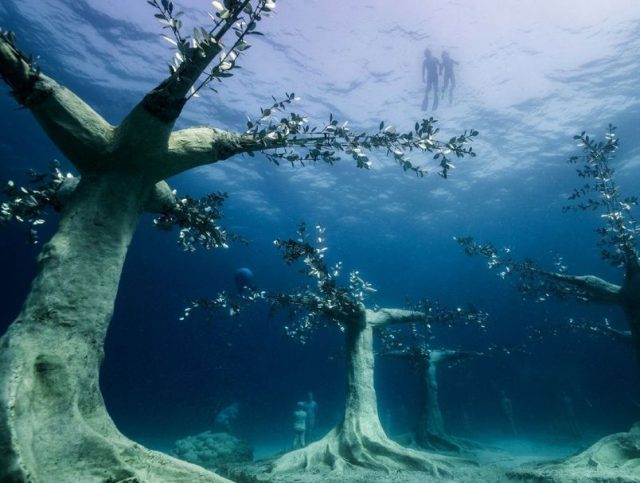podvodna šuma